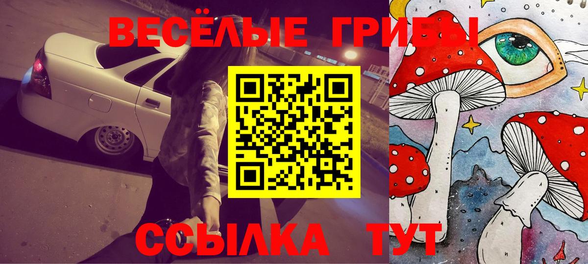 Галлюциногенные грибы мицелий  Галлюциногенные грибы GOLDEN TEACHER  купить наркотики цена  Евпатория  Вход с VPN 