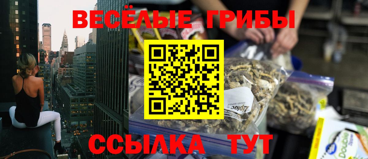 Псилоцибиновые грибы Psilocybine cubensis Евпатория